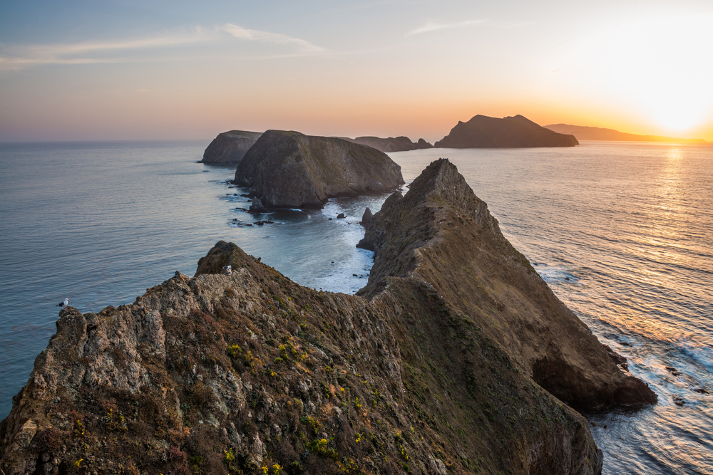 Channel Islands National Park Official Ganp Park Page